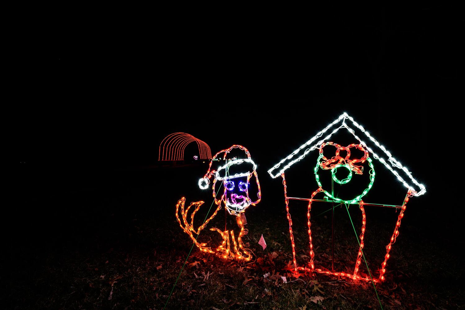 PHOTOS: Holiday Lights dazzle at Lost Creek Reserve in Troy