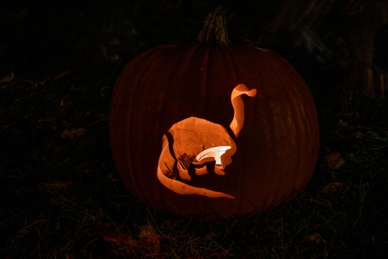 PHOTOS: The Stoddard Avenue Pumpkin Glow LIGHTS Dayton up for Halloween