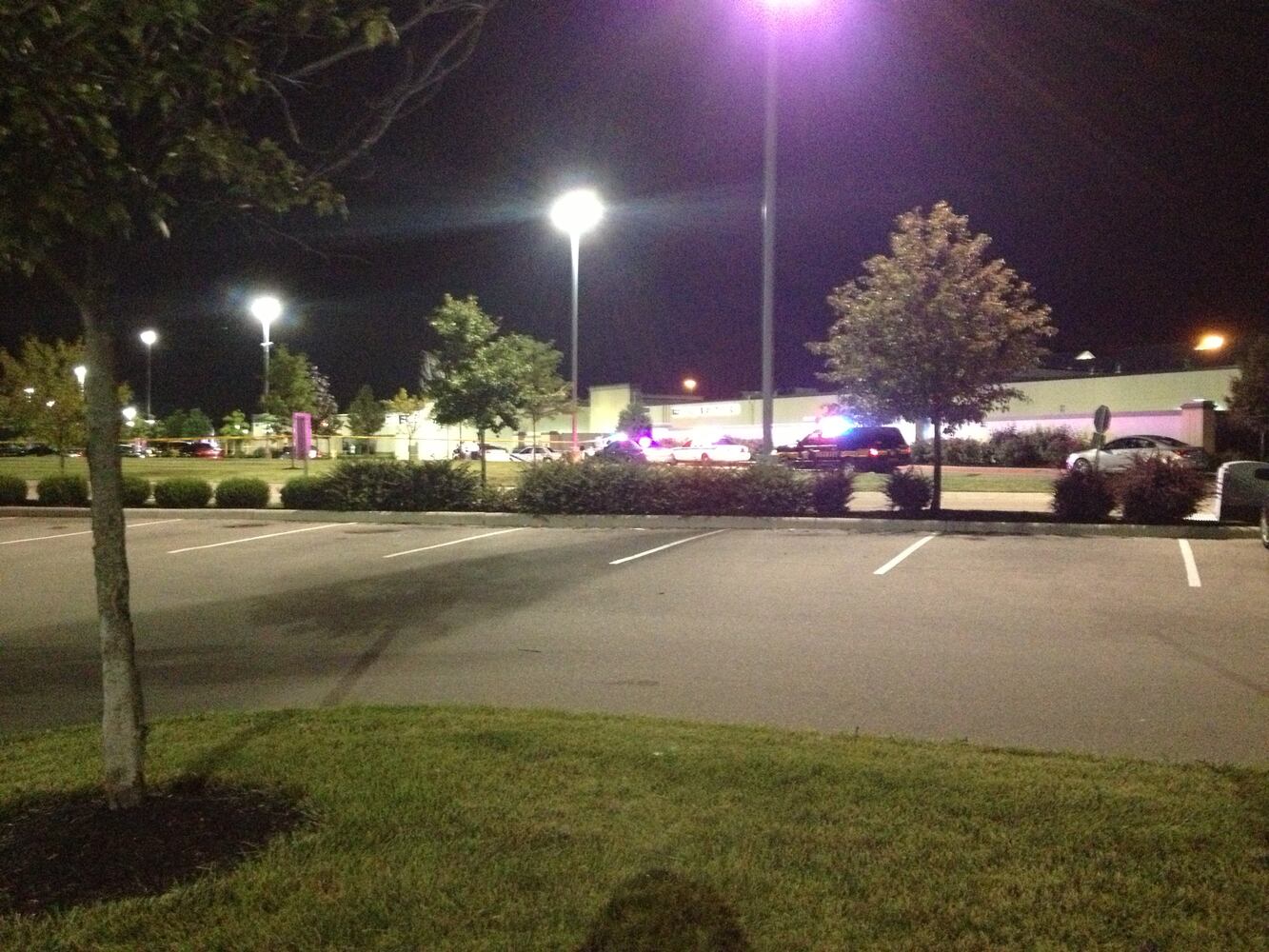 Police shoot suspect from hood of moving car