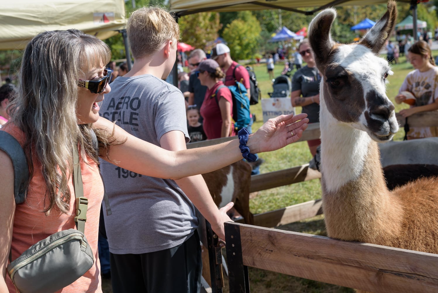 PHOTOS: Did we spot you at the Centerville Fall Fest at Stubbs Park?