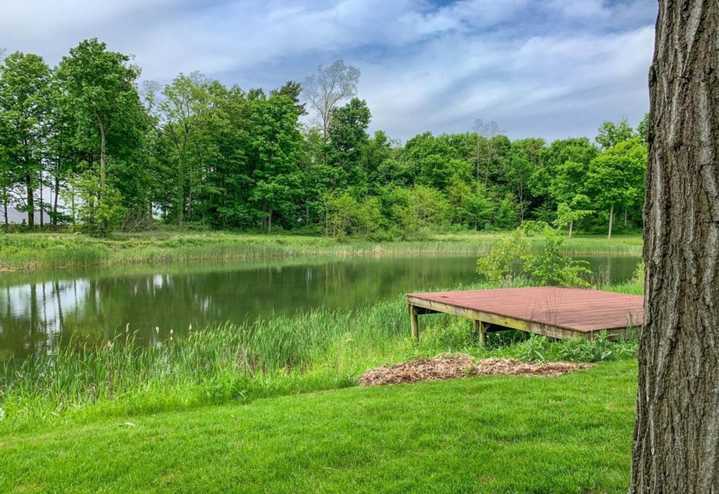 Photos: Luxury home on 30 acres with swimming pool