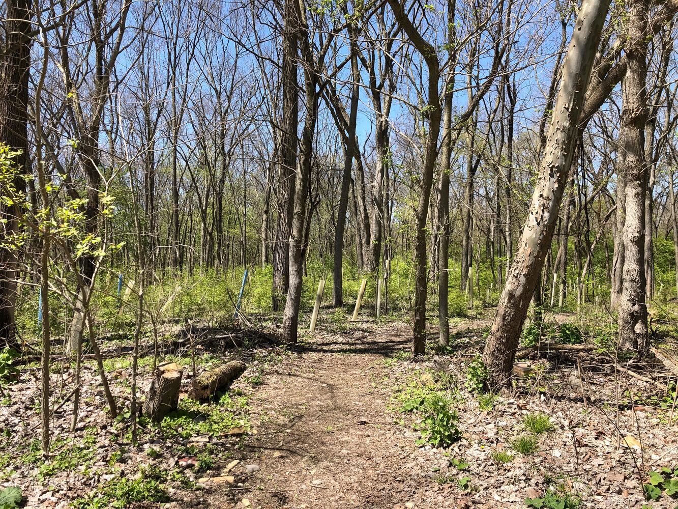 Wesleyan MetroPark
