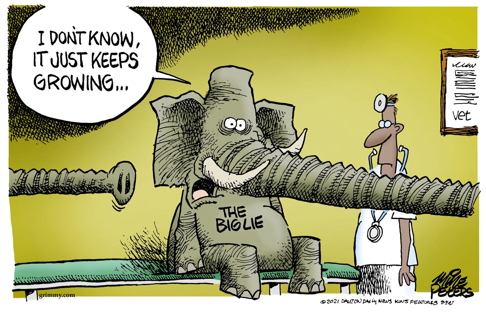Week in cartoons: Facebook ban, pipeline ransom and more