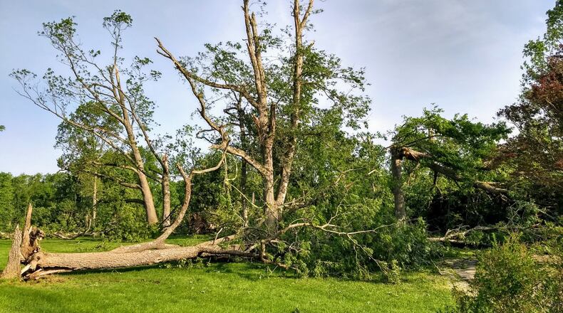 Volunteers gathered Friday, June 21, 2019, to clean up the Russ Nature Reserve in Beavercreek after it was significantly damaged in the Memorial Day tornadoes. LYDIA BICE/STAFF