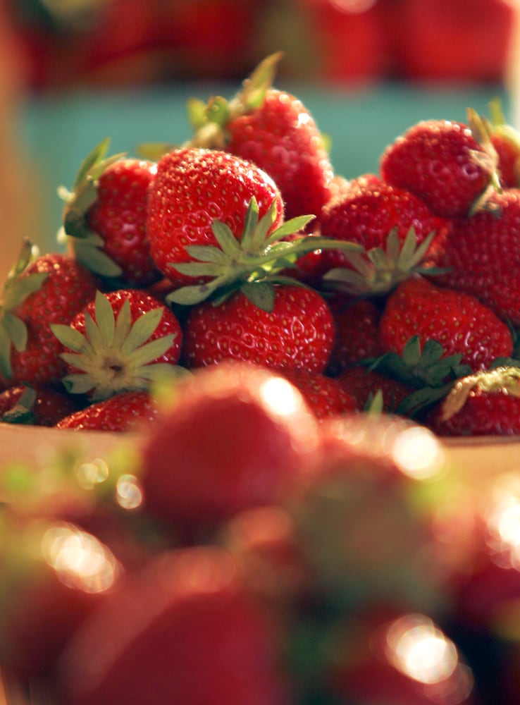 Troy Strawberry Festival