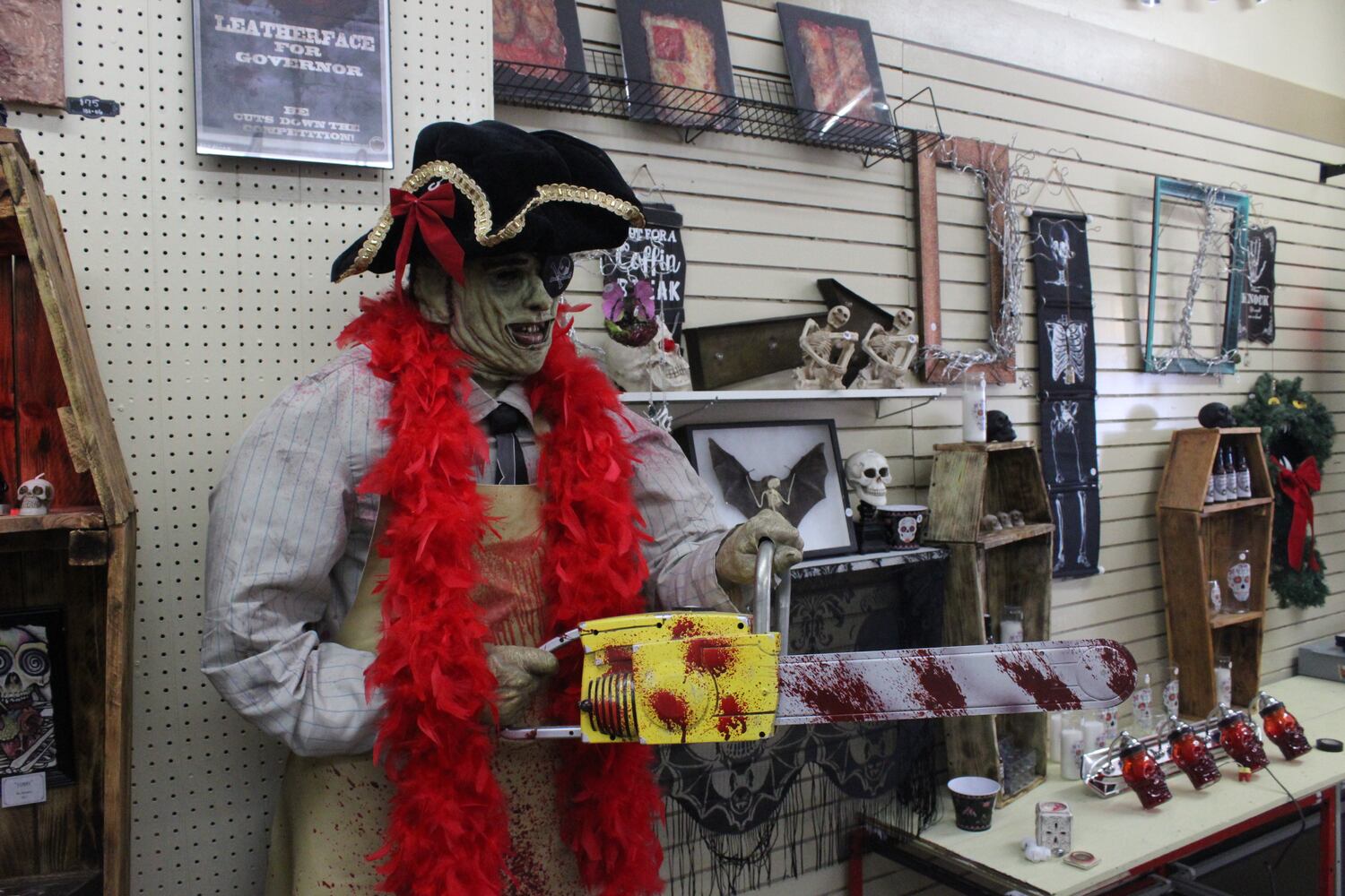 Photos: The Secret Chamber  House of Oddities and Art