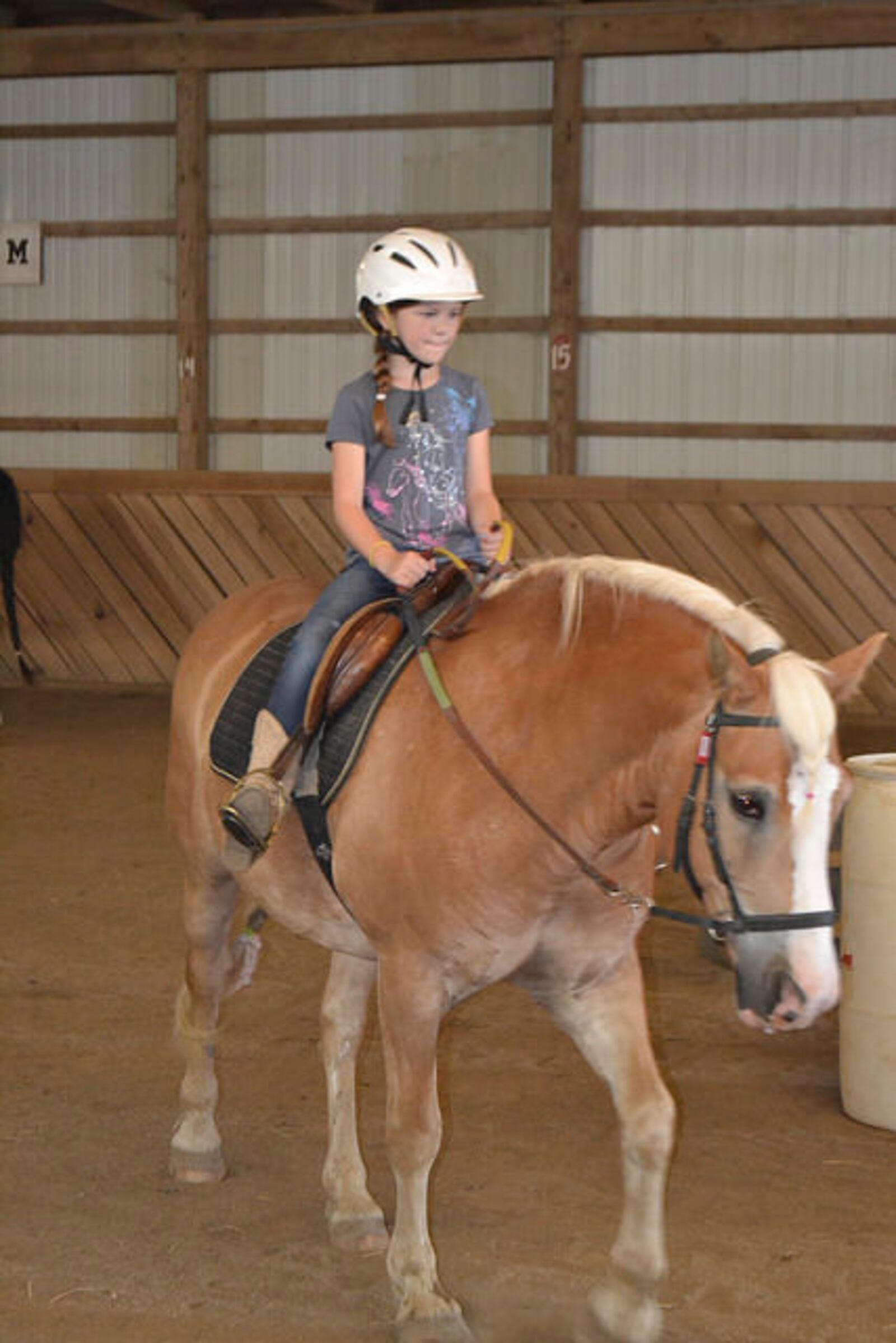 Carriage Hill MetroPark Riding Center offers a variety of opportunities to take the reins from relaxing guided trail rides to advanced adult and youth lessons. CONTRIBUTED PHOTO