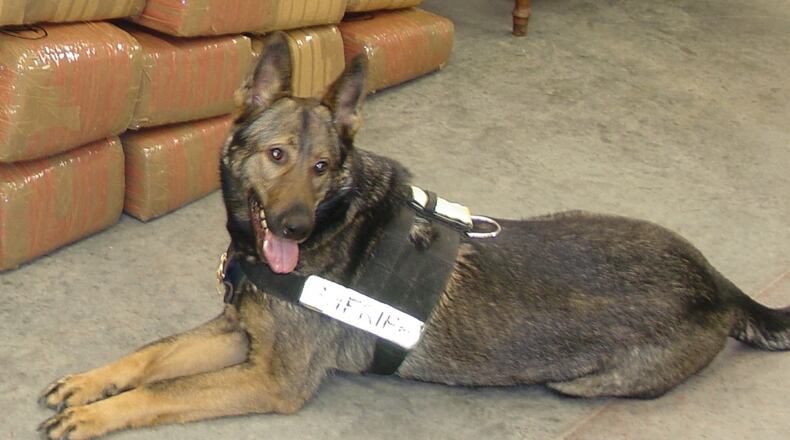 Emir, a former Shelby County Sheriff’s K-9 Deputy, was used on over 169 traffic stops and narcotic searches during his service career. (CONTRIBUTED / SHELBY COUNTY SHERIFF’S OFFICE)