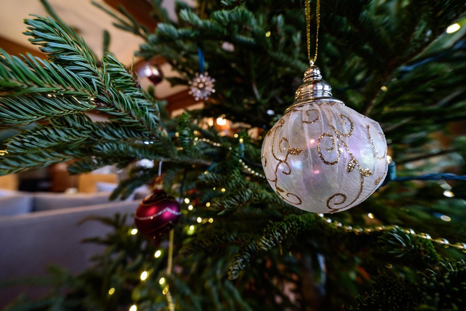 PHOTOS: The Oakwood Historical Society’s Third Annual Holiday Home Tour