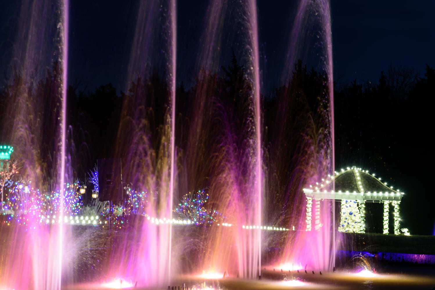 PHOTOS: Christmas Light Spectacular at Cedar Springs Pavilion