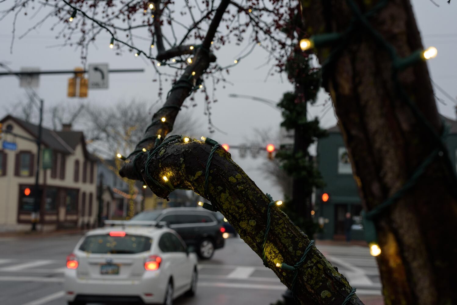 PHOTOS: Did we spot you at Centerville’s Hometown Holiday Walk?