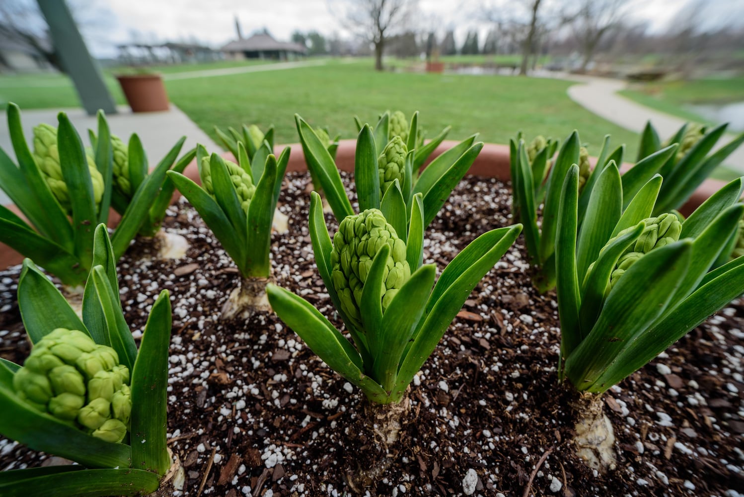 PHOTOS: Take a walk through beautiful Cox Arboretum this spring