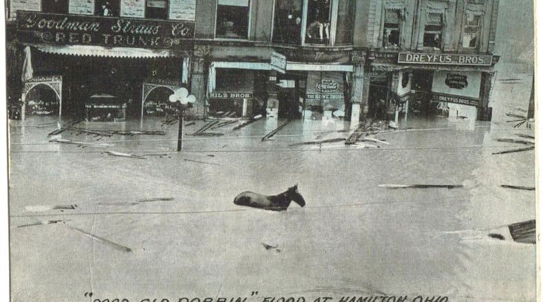 No one knows where he came from, but an old blind horse named Dobbin eventually found his way to safety during the 1913 flood in Hamilton and became one of the iconic figures of the disaster as a result of this post card showing up making his way up High Street.