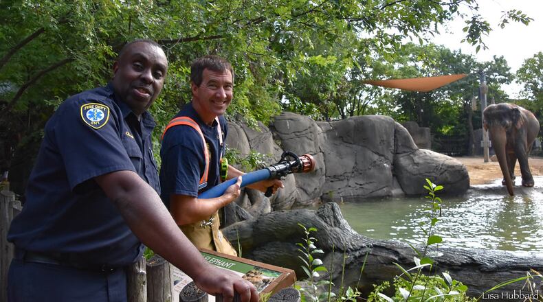 The Cincinnati Zoo & Botanical Garden's Hometown Heroes celebration offers free admission to front line healthcare workers, active fire and police personal and active and retired military.  CONTRIBUTED / CINCINNATI ZOO AND BOTANICAL CENTER