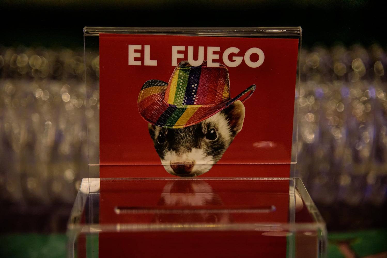 PHOTOS: EUREKA! A science experiment for grown-ups