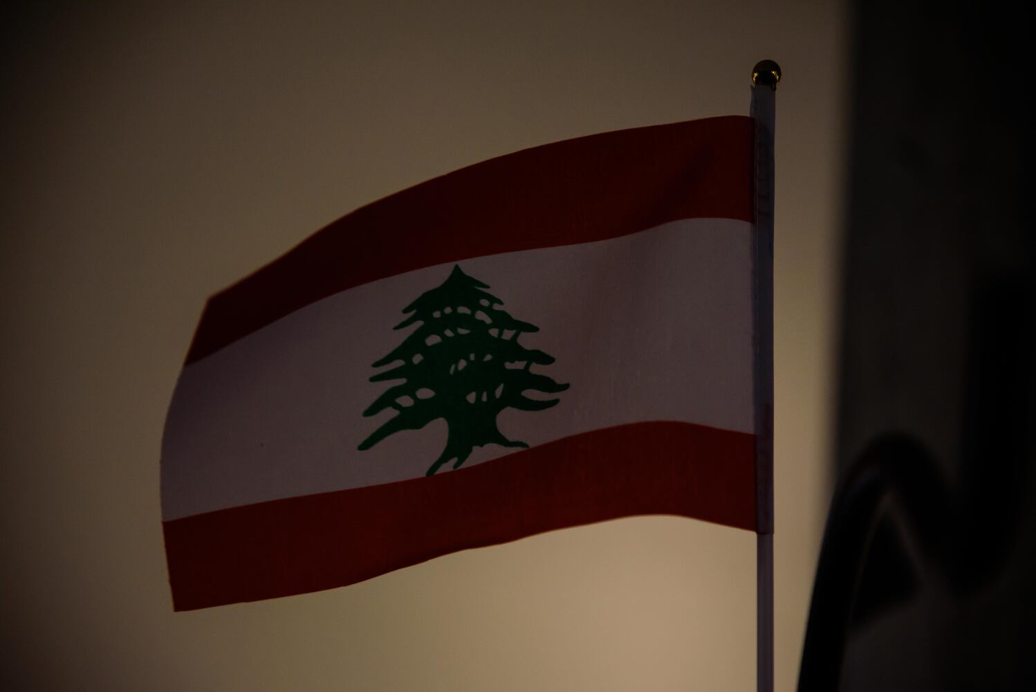 PHOTOS: Did we spot you at the Lebanese Festival?