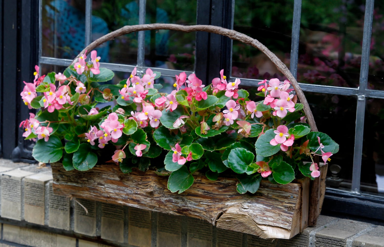 Dayton Garden Tours