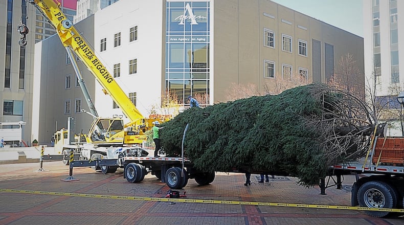 The tree chosen to star as The Dayton Holiday Festival tree arrives at Courthouse Square on Friday.