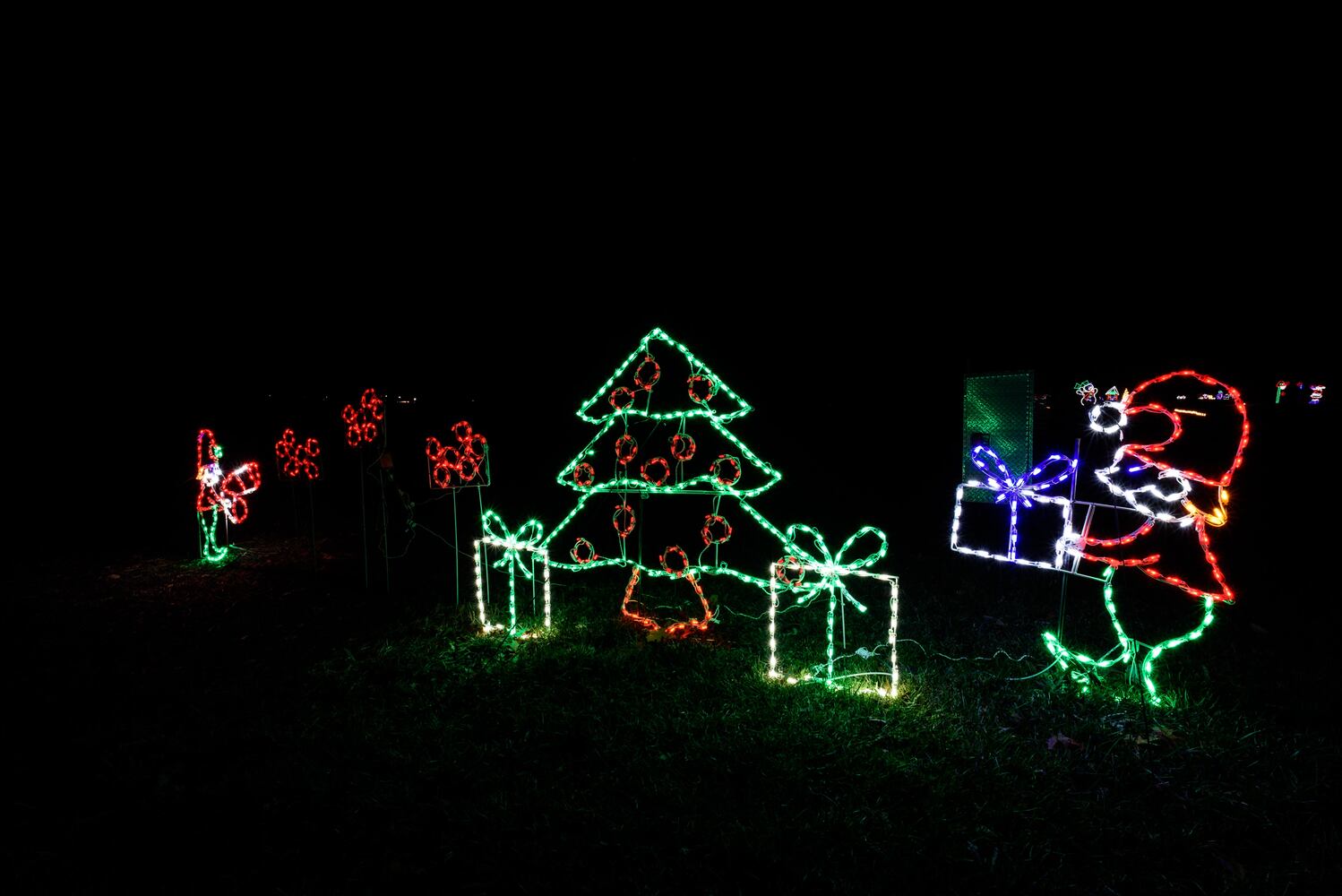 PHOTOS: Holiday Lights dazzle at Lost Creek Reserve in Troy