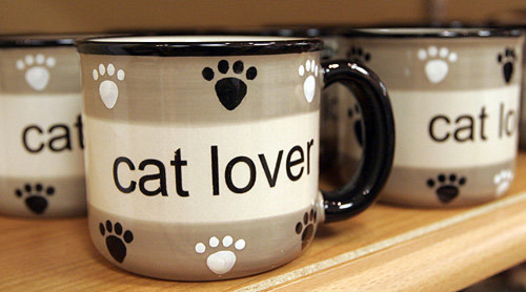 Meowza Cat Boutique at the Dayton Mall