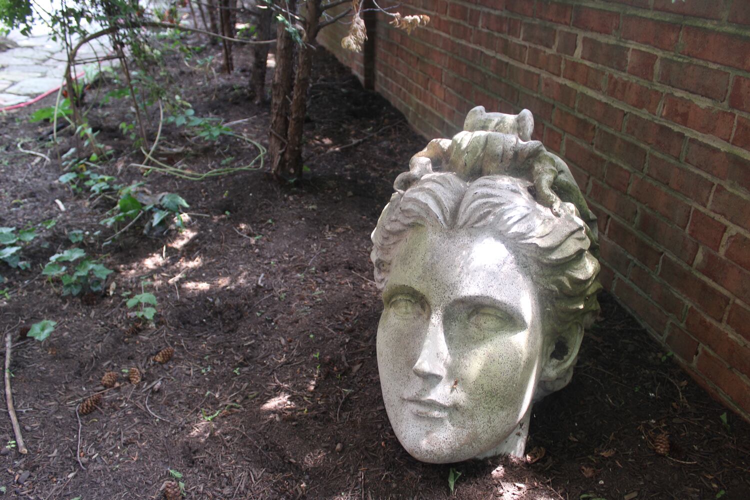 Josh Stucky's secret garden