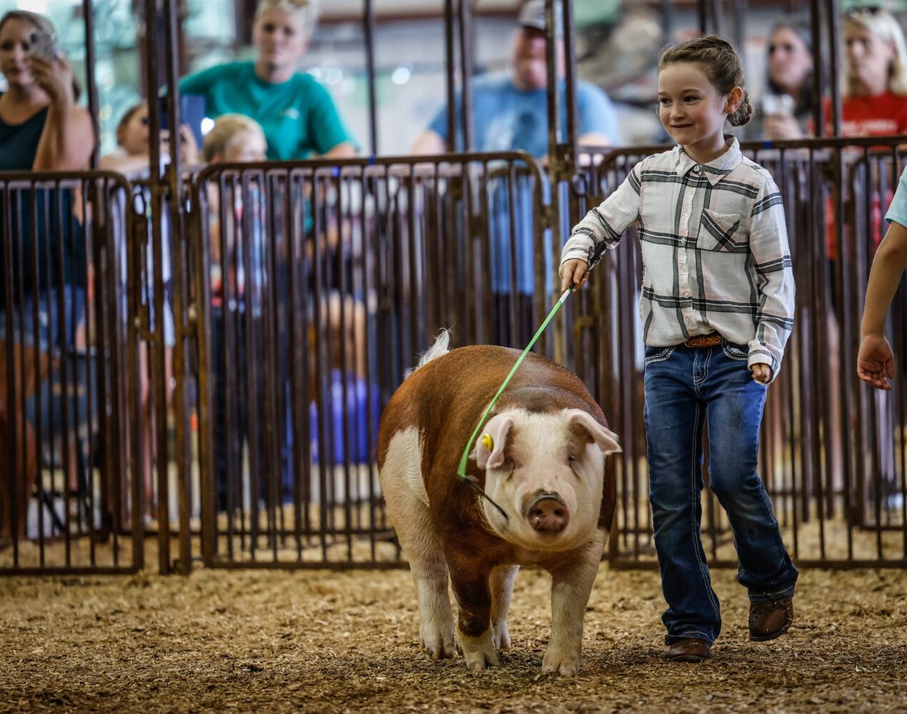 Greene County Fair Pee Wee Swine Showmanship