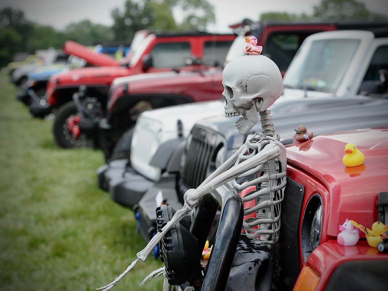 The Jeep Lifestyle Meet and Greet at Young’s Jersey Dairy Saturday August 6, 2022. MARSHALL GORBY \STAFF