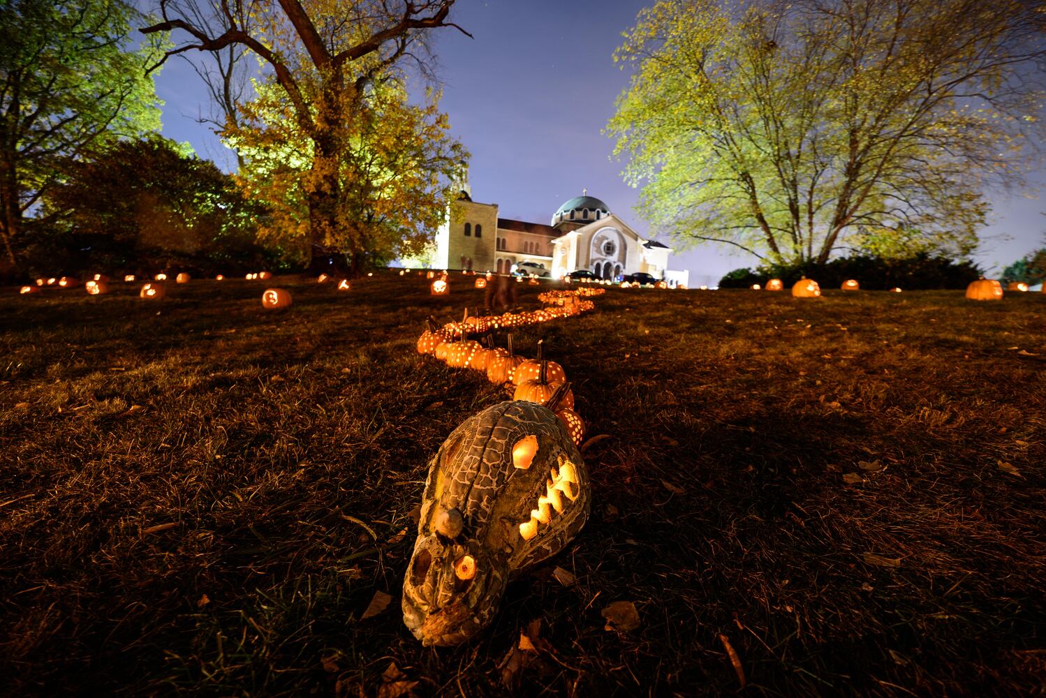 PHOTOS: The Stoddard Avenue Pumpkin Glow