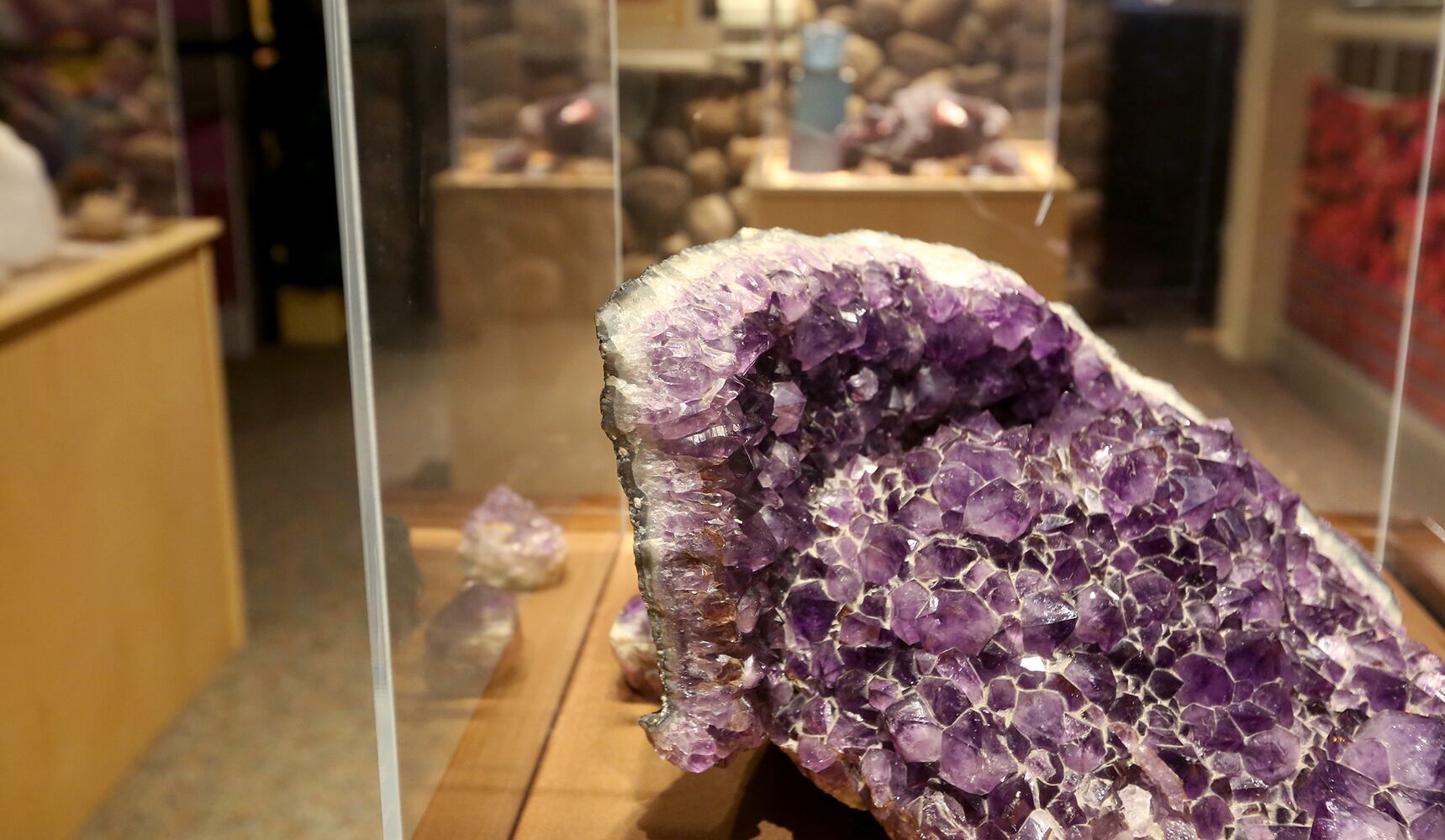 PHOTOS: Boonshoft Museum of Discovery reopens with old favorites and rarely seen artifacts from the collection
