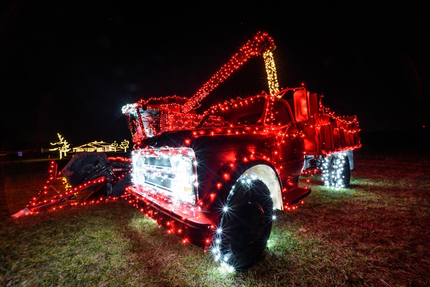 PHOTOS: Holiday Lights dazzle at Lost Creek Reserve in Troy