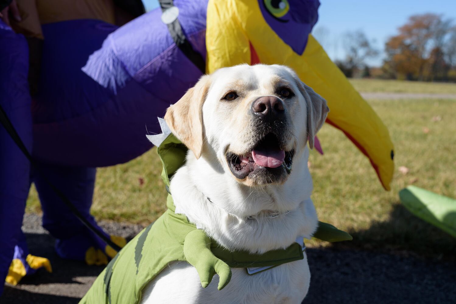 PHOTOS: Did we spot you and your dog at Wag-O-Ween at the Kettering Recreation Center?