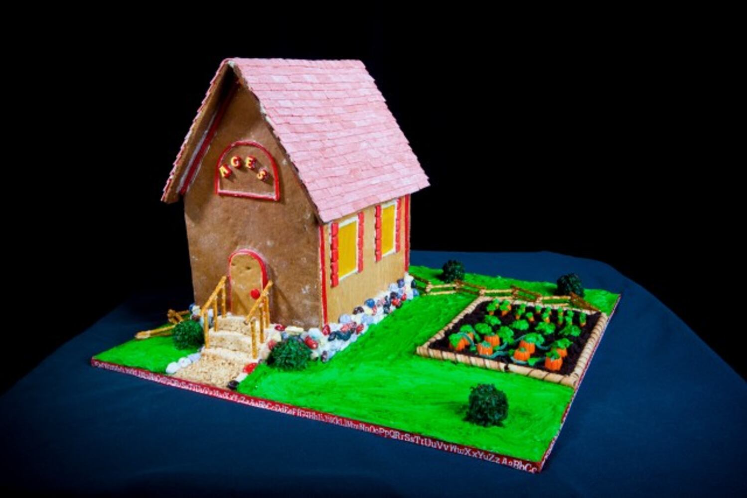 Grove Park Inn Gingerbread House Competition 2011