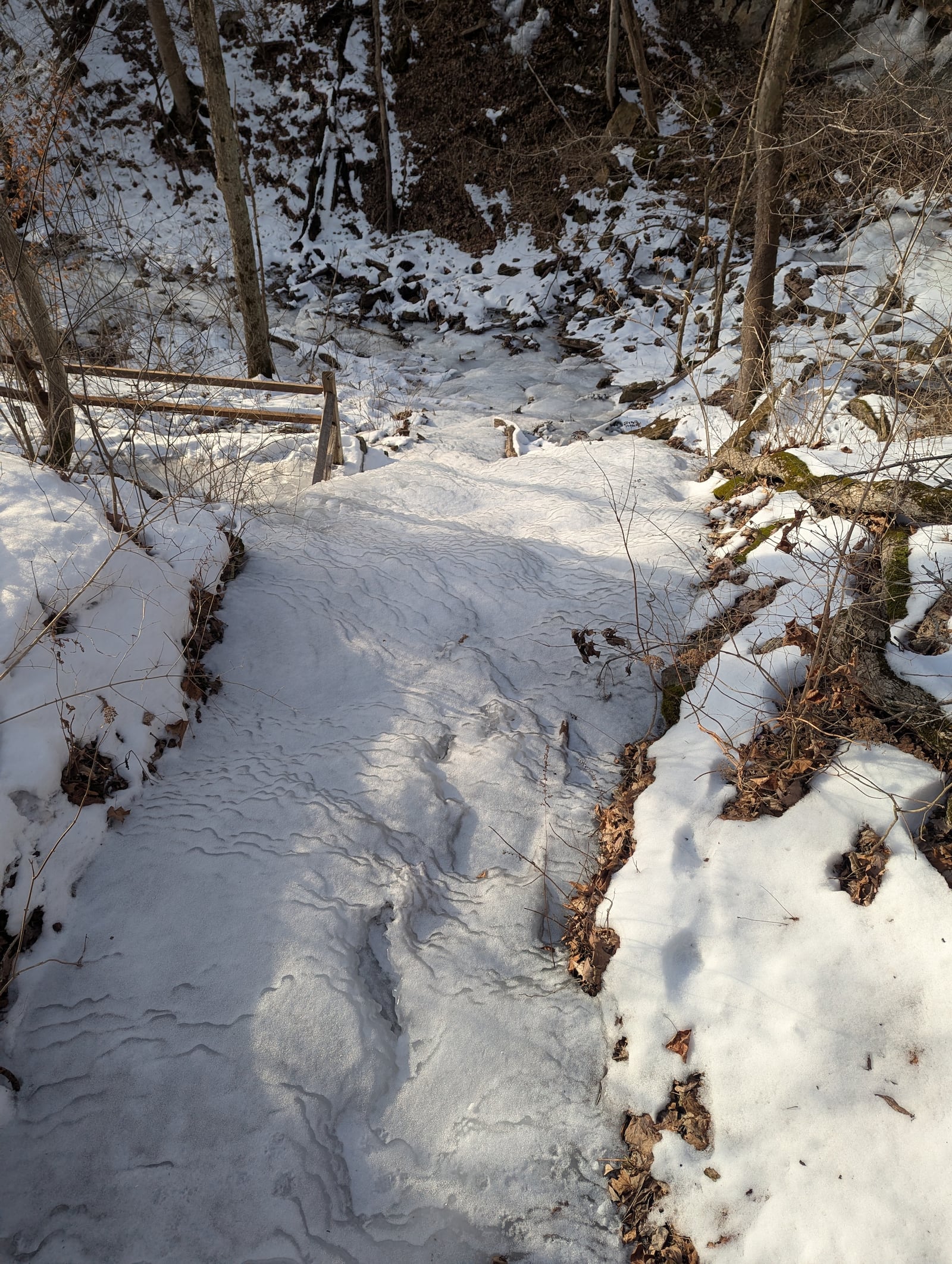 Peaceful and beautiful, a winter walk can be an ideal way to relax during the hectic holiday season. CONTRIBUTED