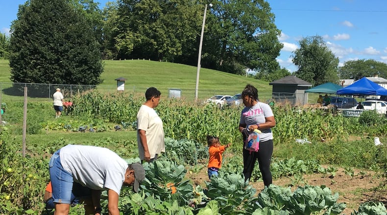 The Jefferson Street Oasis Garden is a community-based garden in Springfield. As the start of gardening season nears, the Snyder Park Gardens and Arboretum will distribute free seed packets to the public on Wednesday, April 7, at the arboretum as part of the Ohio Department of Agriculture and OSU Extensive Offices Victory Gardens Program. BILL LACKEY/STAFFCONTRIBUTED
