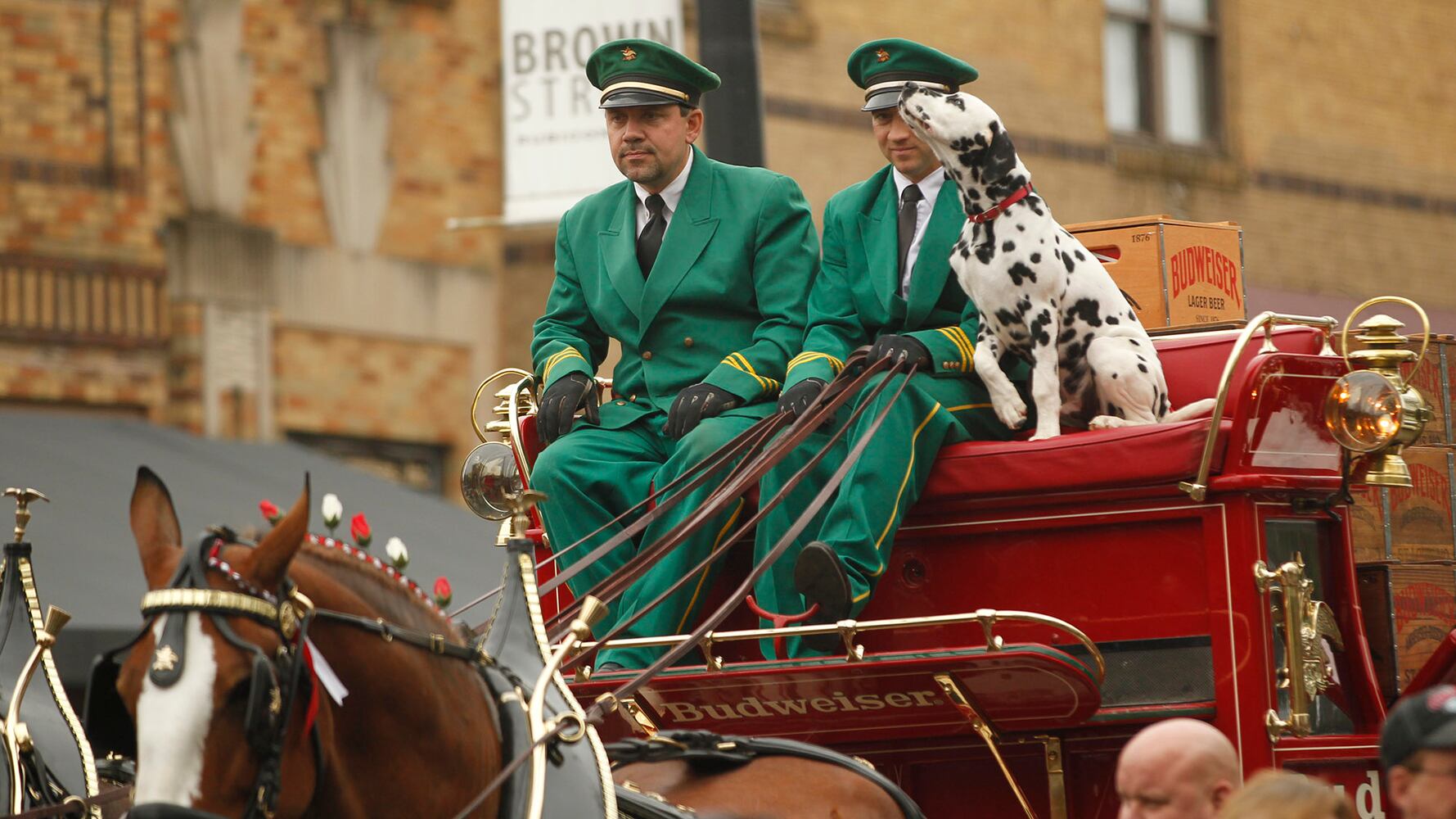 PHOTOS: The Budweiser Clydesdales are in Dayton