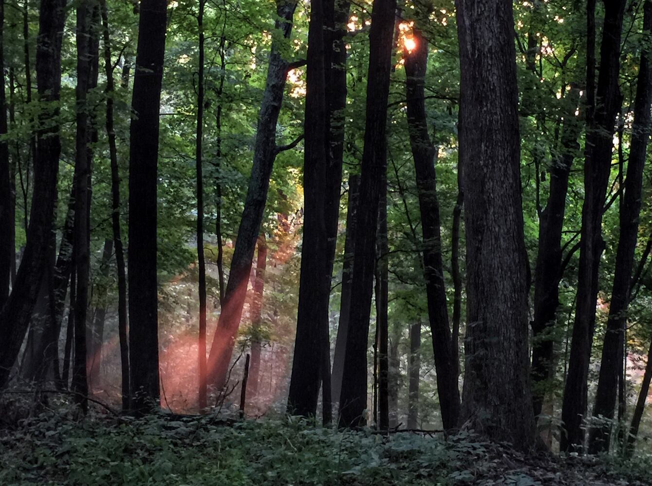 Scenic getaways in Indiana
