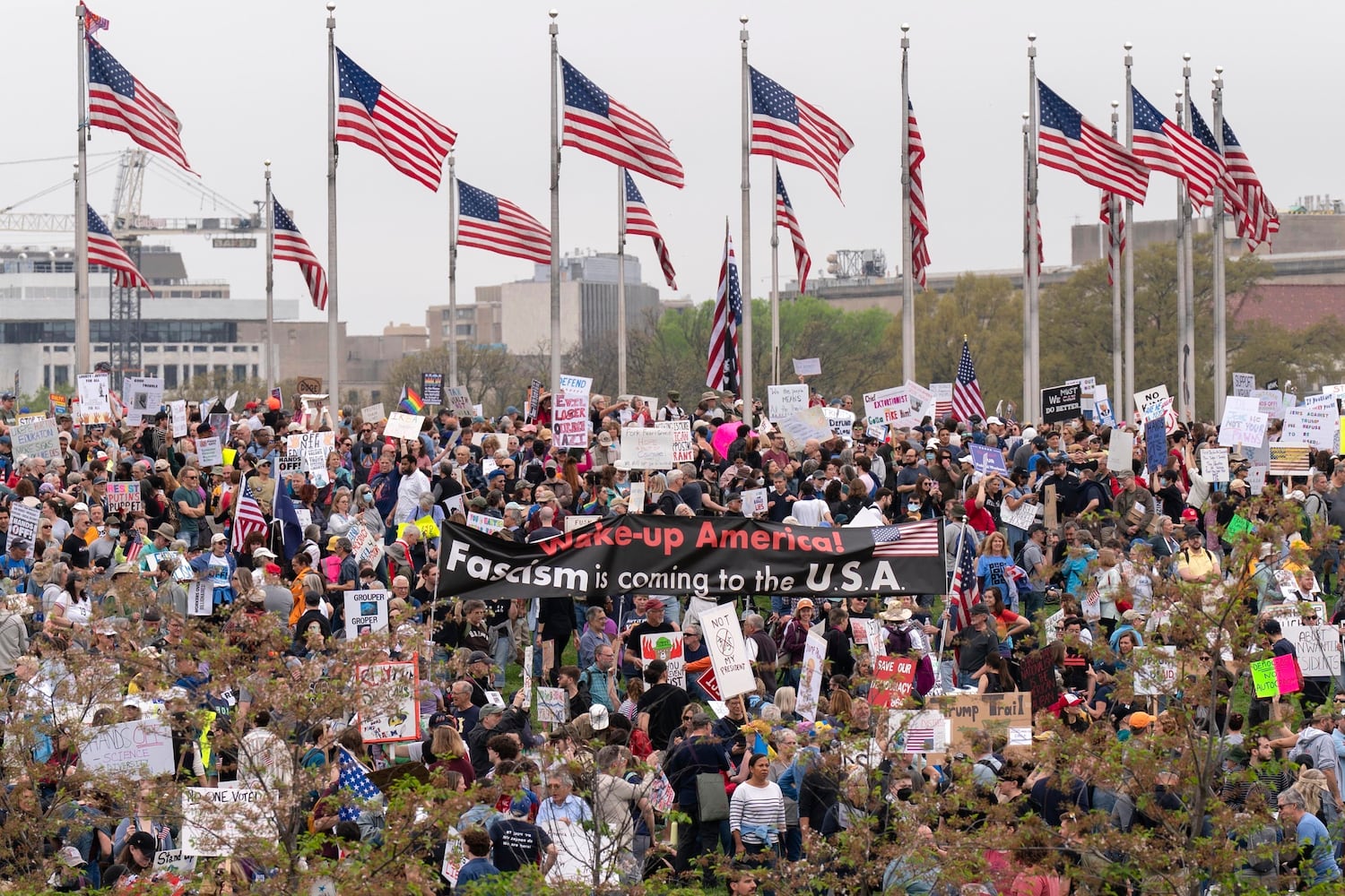 Trump Protests