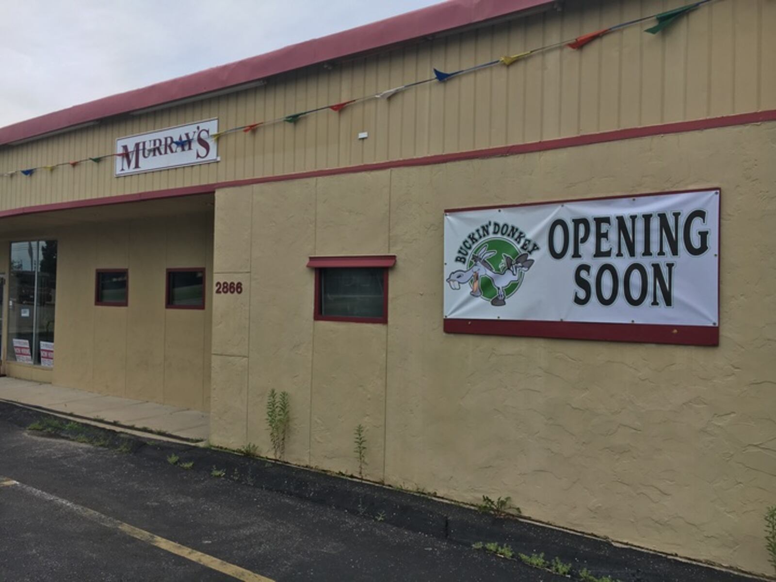 Buckin' Donkey  -- formerly Murray's Place -- plans to open in late July or early August.