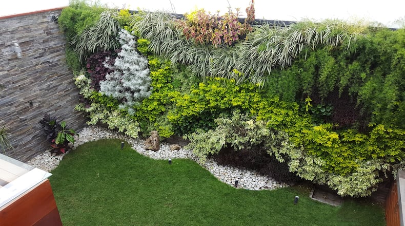 A vertical garden is a great solution for homeowners with little yard or gardening space. (Dreamstime)