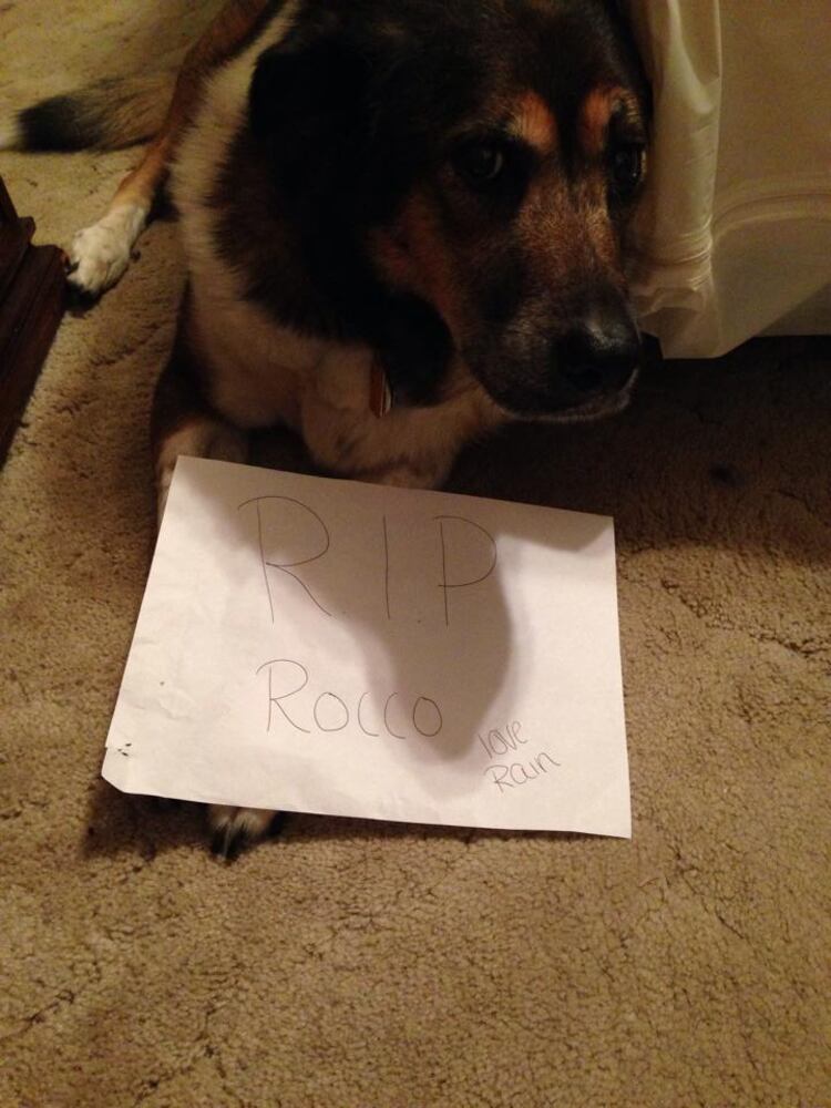 RIP Rocco