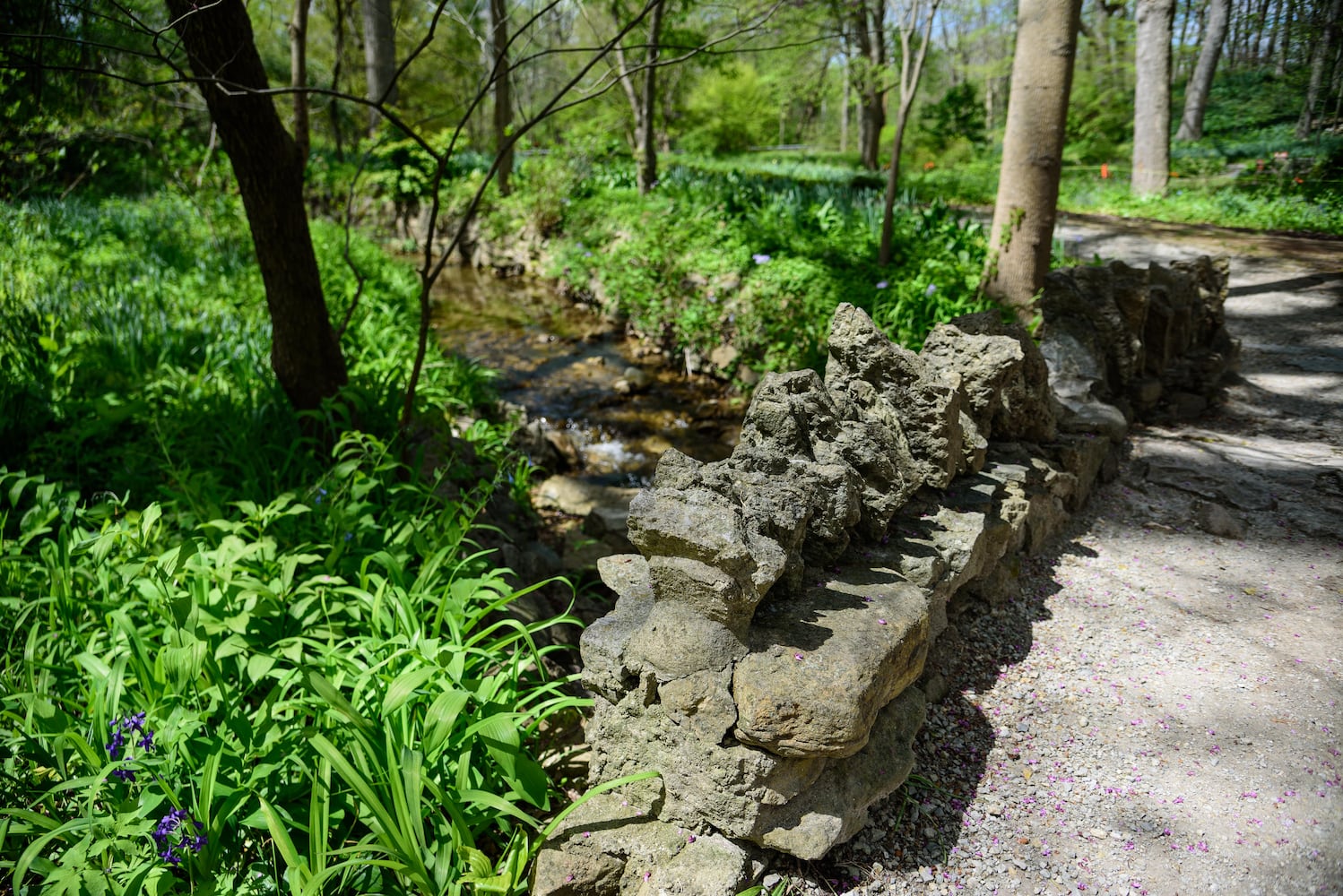 PHOTOS: Gorgeous Aullwood Garden is in full bloom