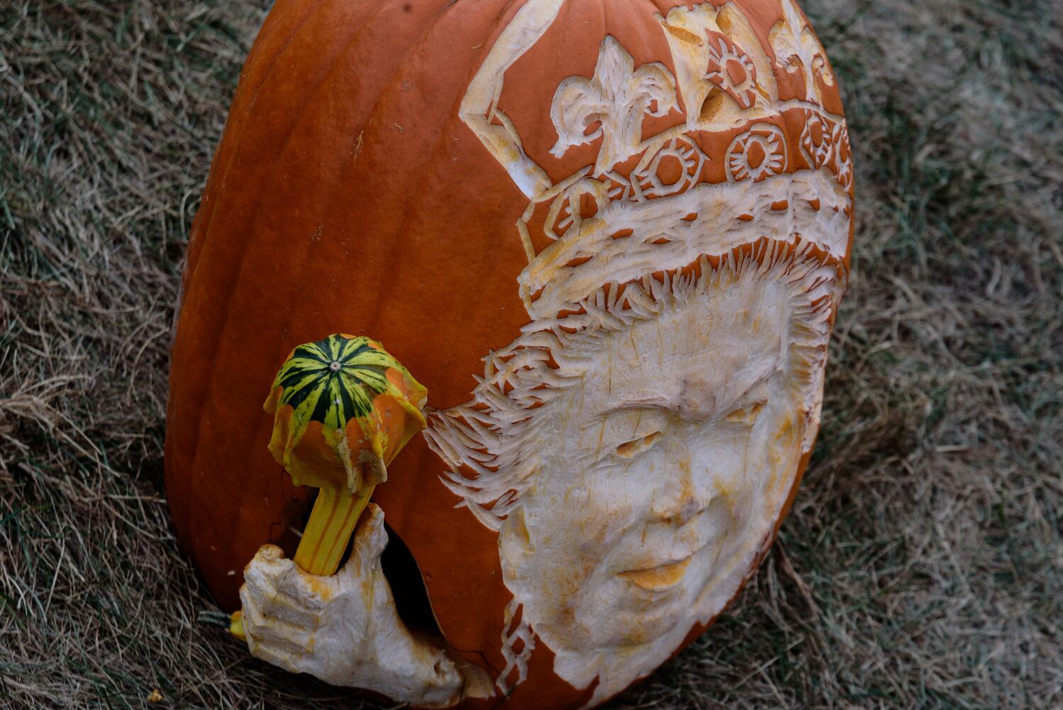 PHOTOS: The Stoddard Avenue Pumpkin Glow