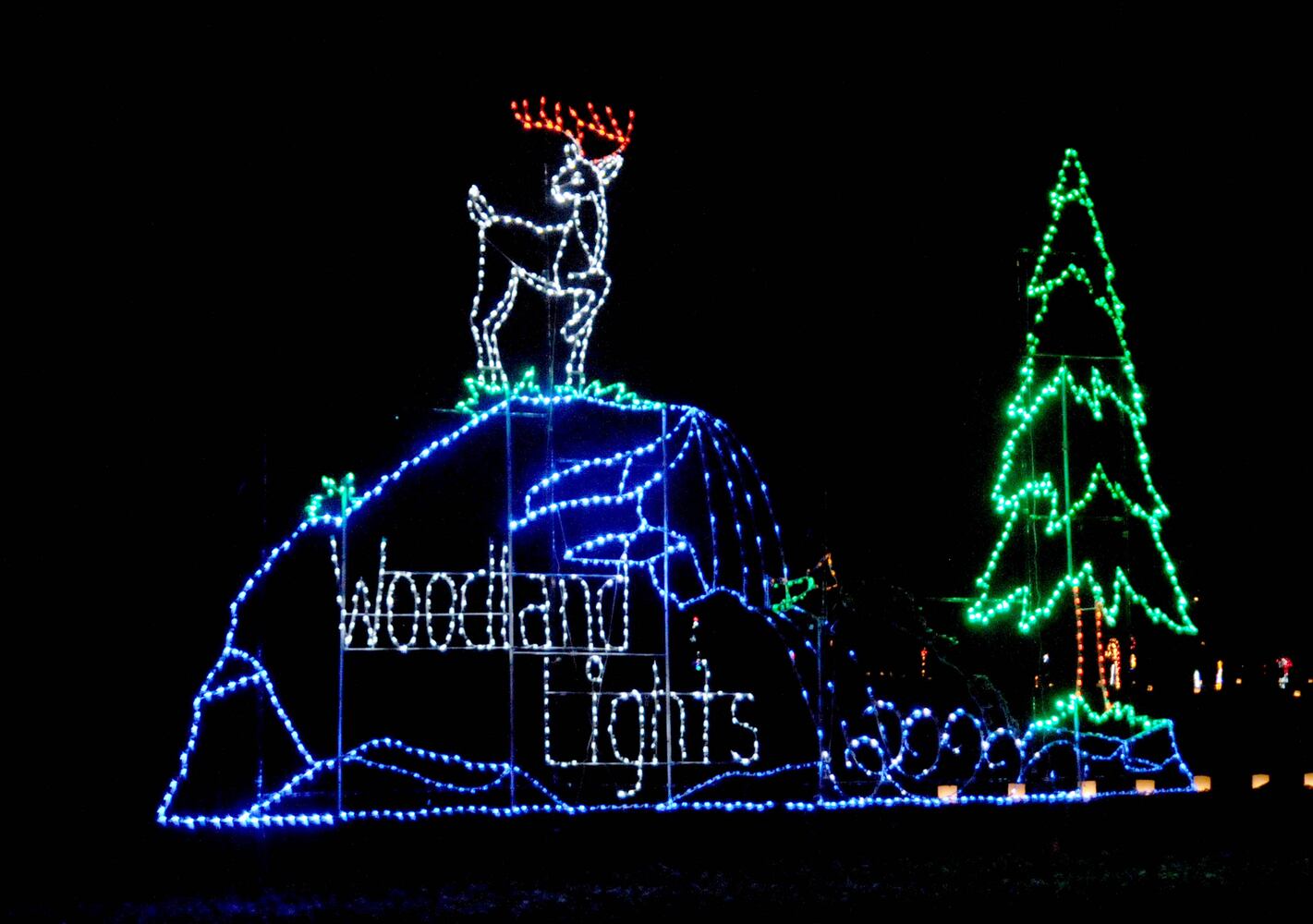 PHOTOS: Did we spot you at opening night of Woodland Lights?