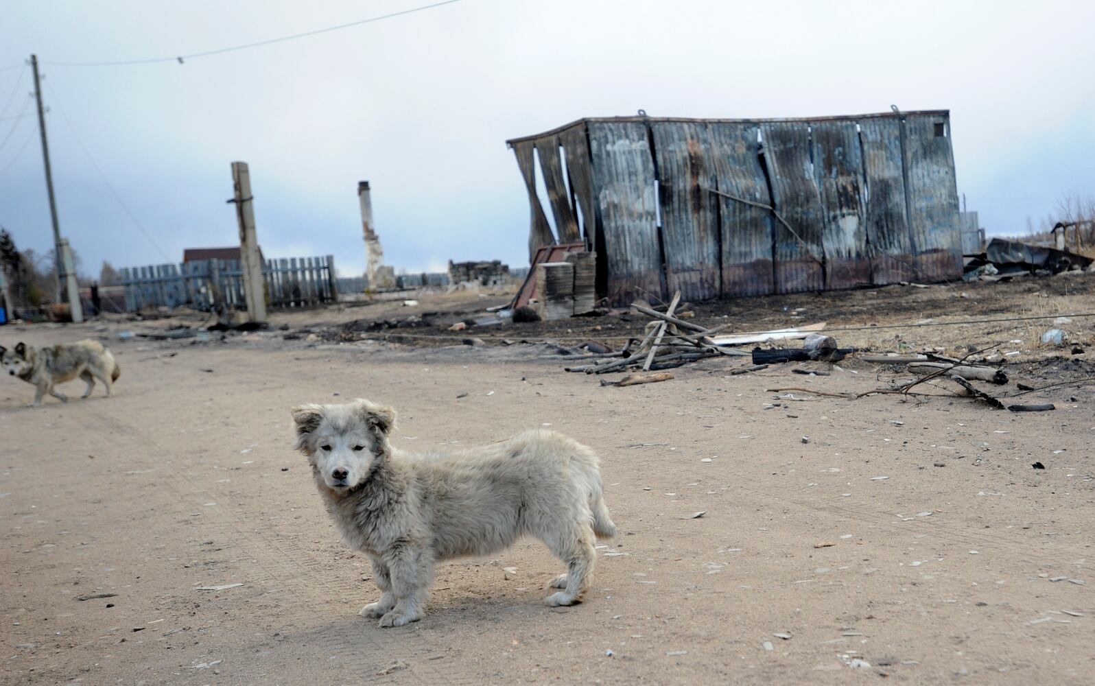News hounds (4/16/15)