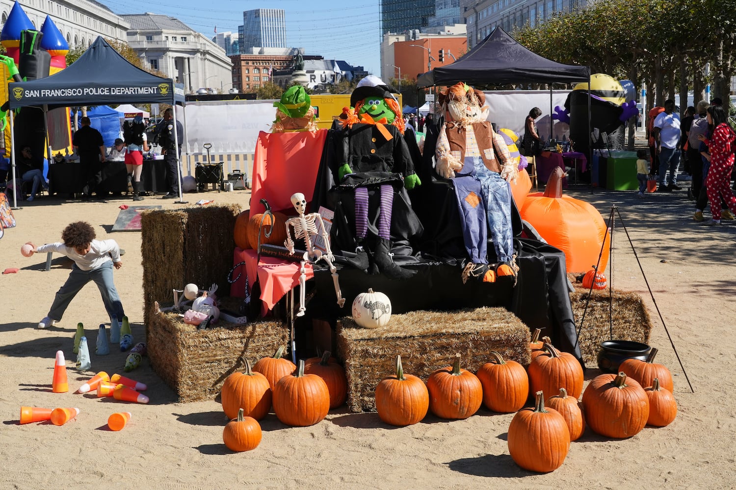 San Francisco Pumpkin Patch