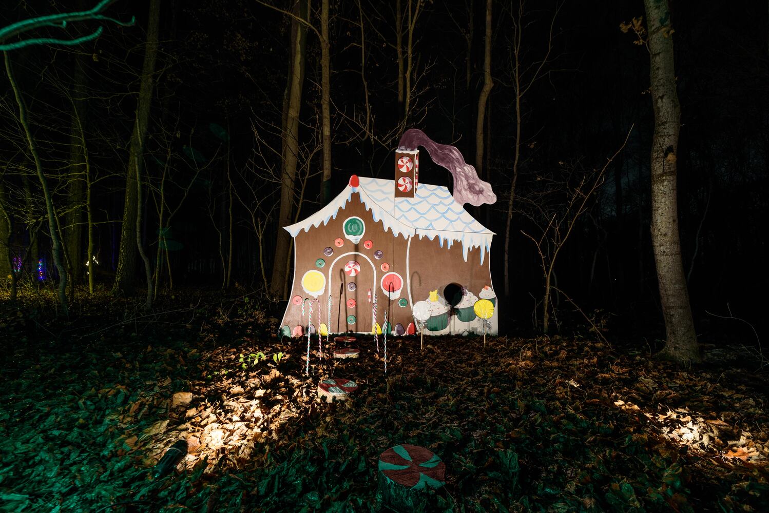 PHOTOS: 2024 Holiday Lights at Lost Creek Reserve in Troy