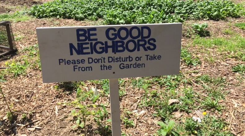 Silver Lane urban farm plot, Mission of Mary farms in Dayton. THOMAS GNAU/STAFF