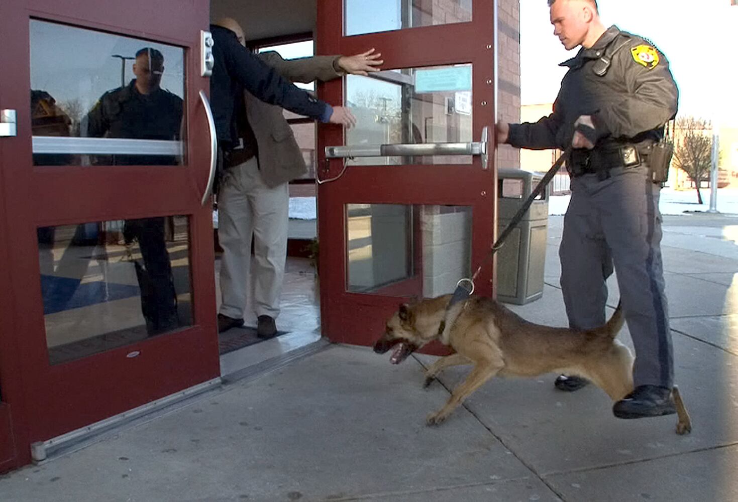 News hounds (12/12/2013)