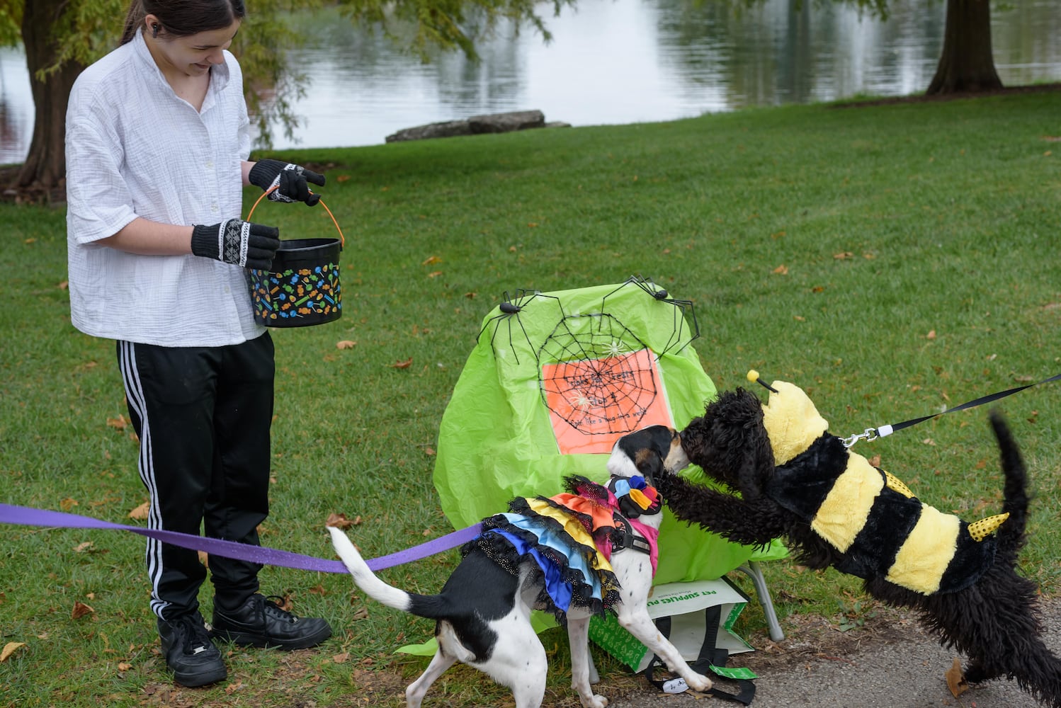 PHOTOS: Wag-O-Ween 2025 at Kettering Recreation Complex