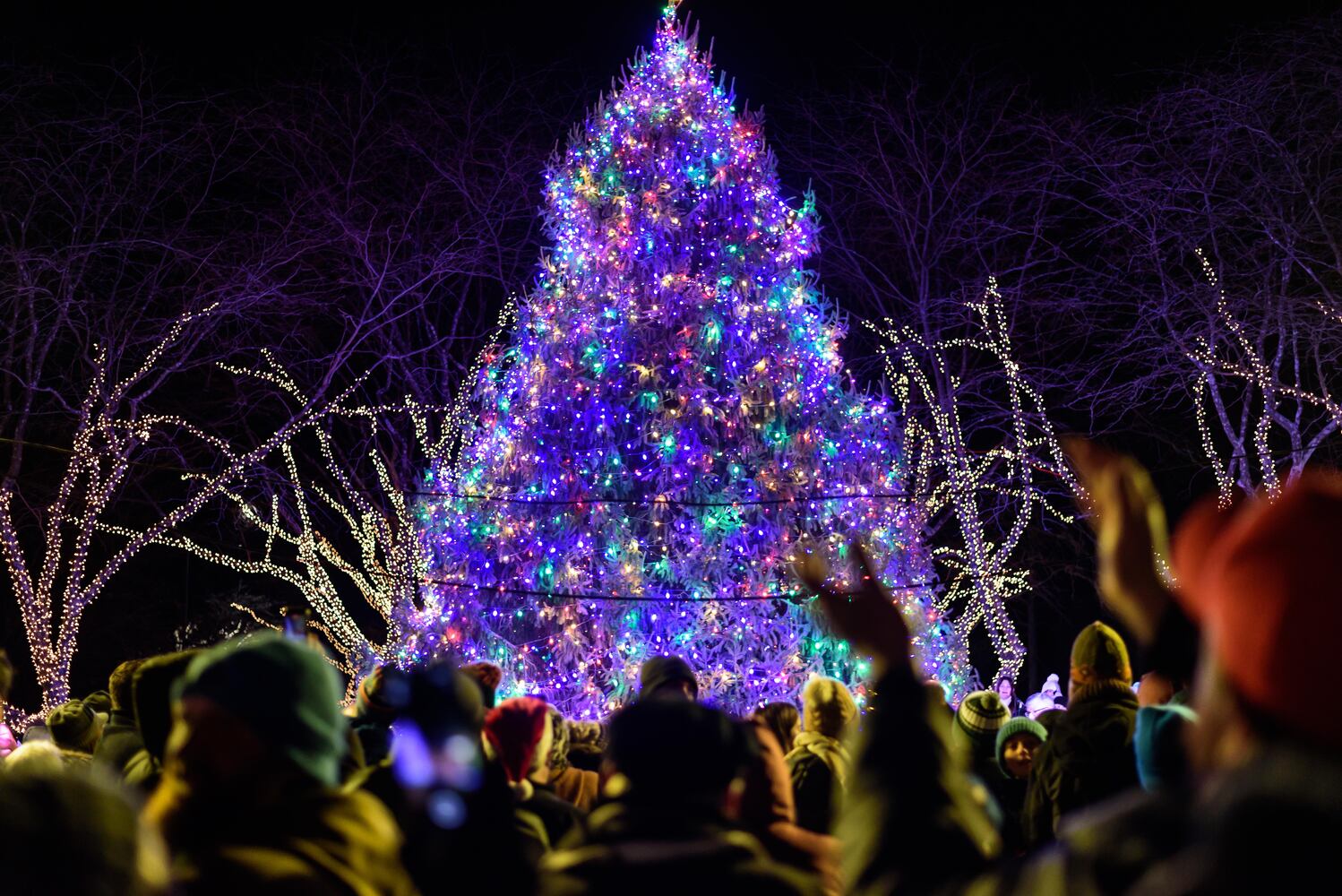PHOTOS: 2024 Kettering Mayor's Tree Lighting at Lincoln Park Civic Commons